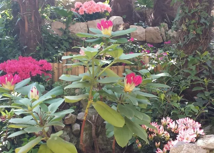 Big Blue S Privatnim Parkingom *